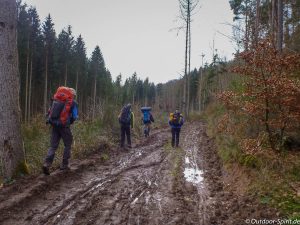 Regen und Forstarbeiten hinterlassen Spuren